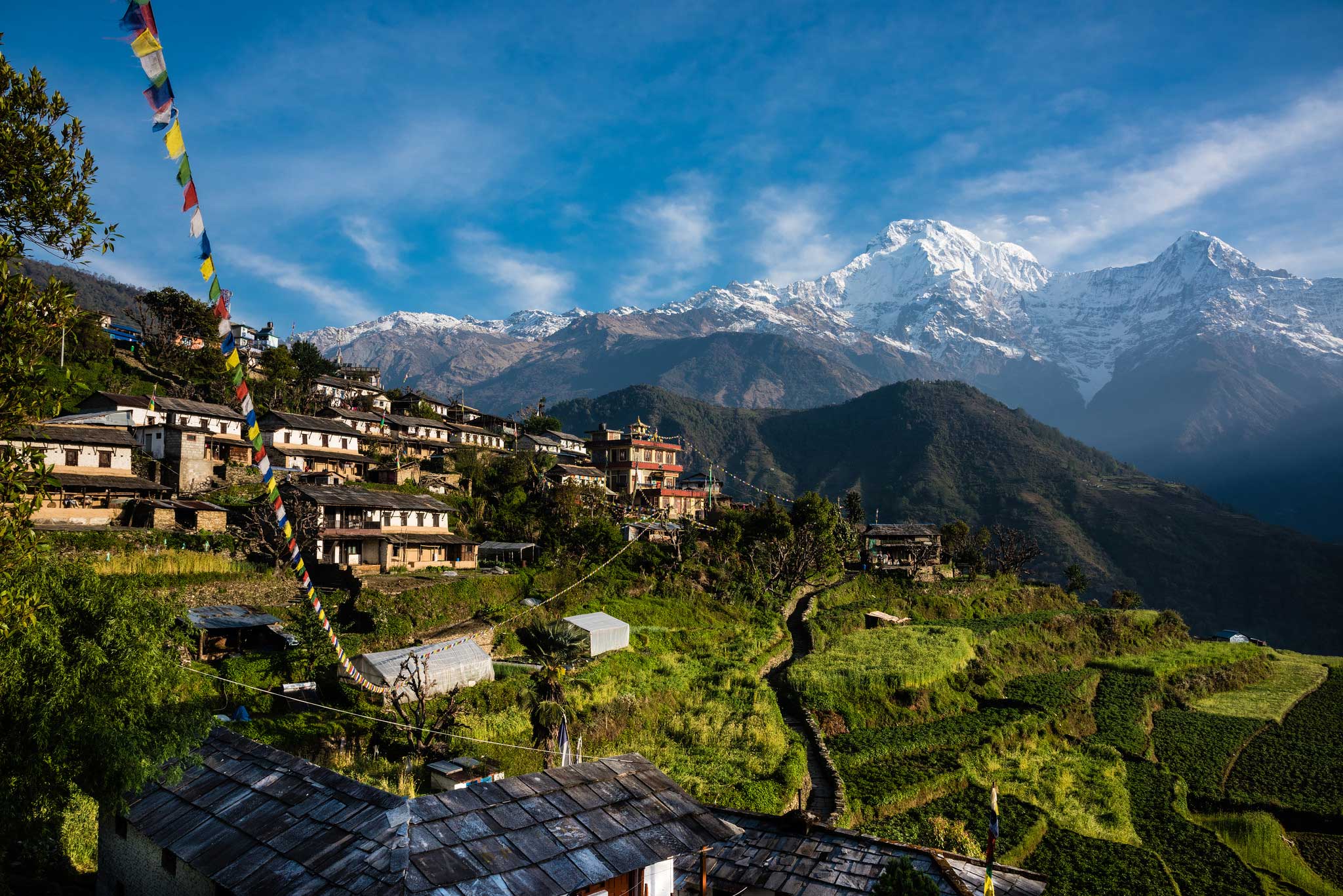 Népal express, nos treks de 15 jours au Népal